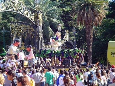 2008carruselportones1