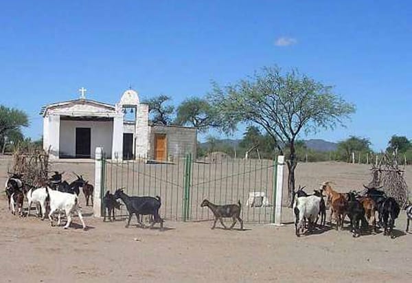 26-fiesta-del-queso-y-quesillo-baldes-de-rosario