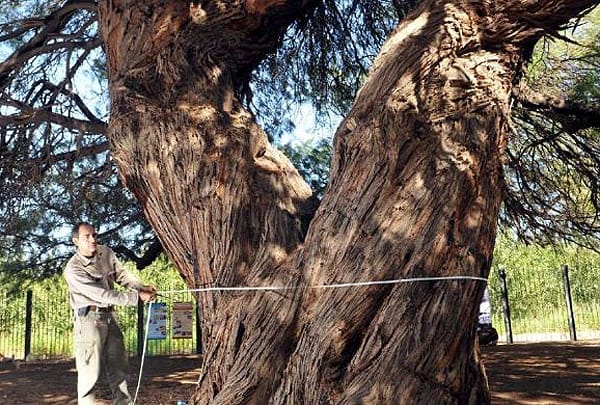 28-c-algarrobo-grande-lavalle