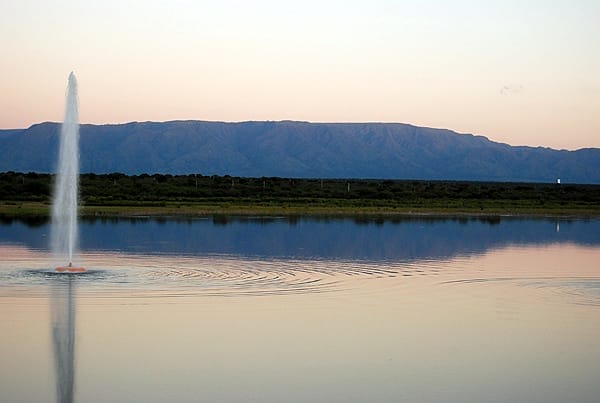 32-fiesta-algarrobo-gral-roca