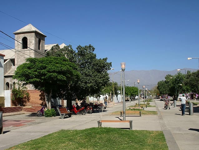 36-festival-del-vino-patero-aimogasta